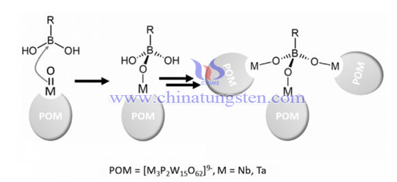 Tungsten Boride Photo