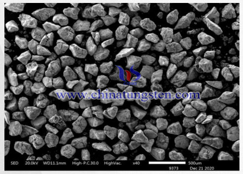 tungsten boride SEM photo