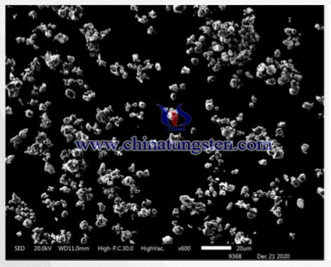 硼化钨电镜照片